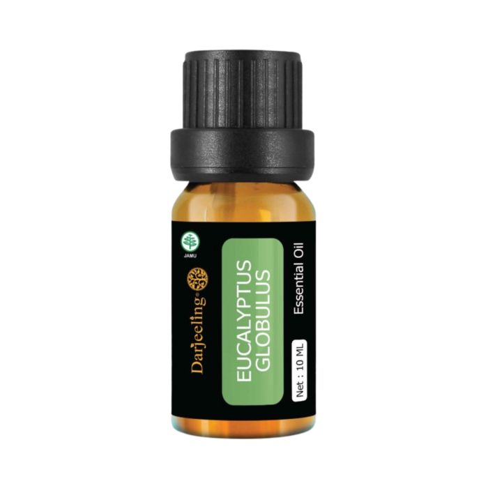Darjeeling Pure Eucalyptus Globulus Essential Oil