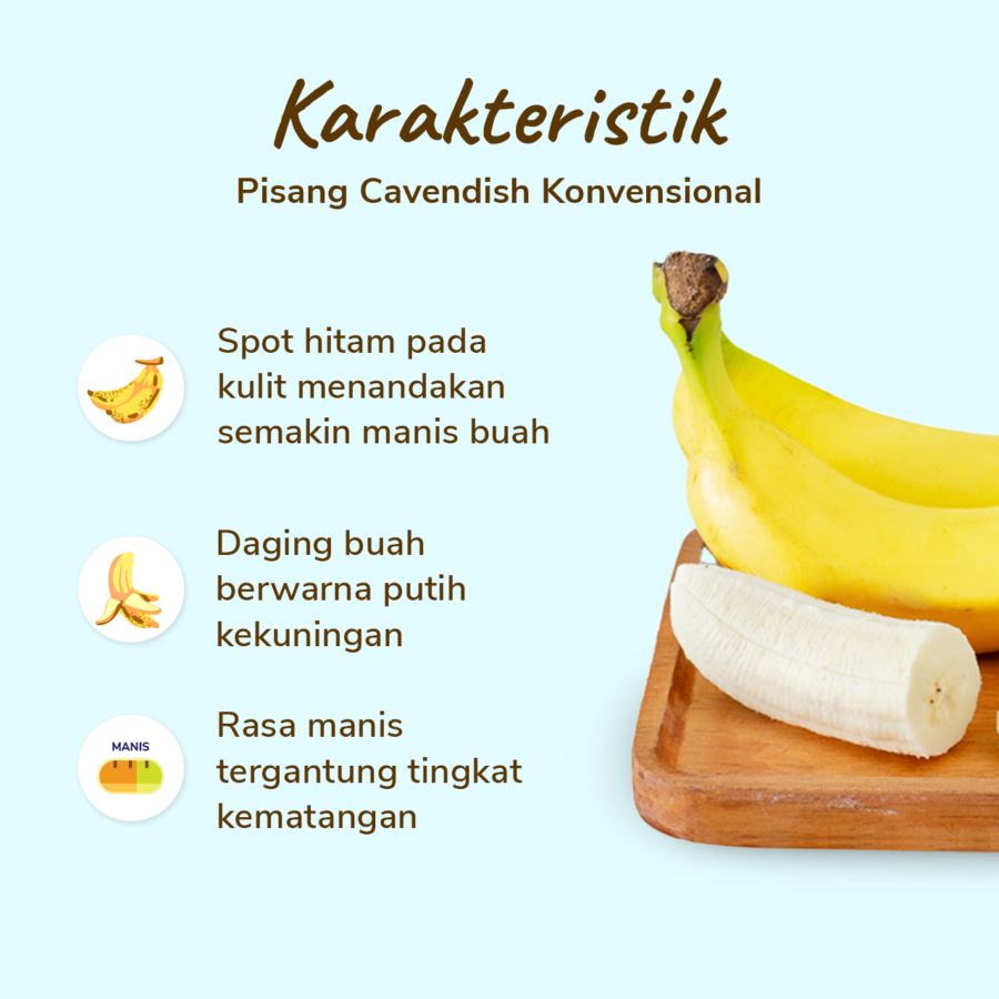 Pisang Cavendish Astro Farm 3-4 pcs 450-550 gram