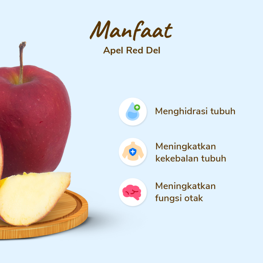 Apel Red Del Astro Farm 2pcs 300-350gram