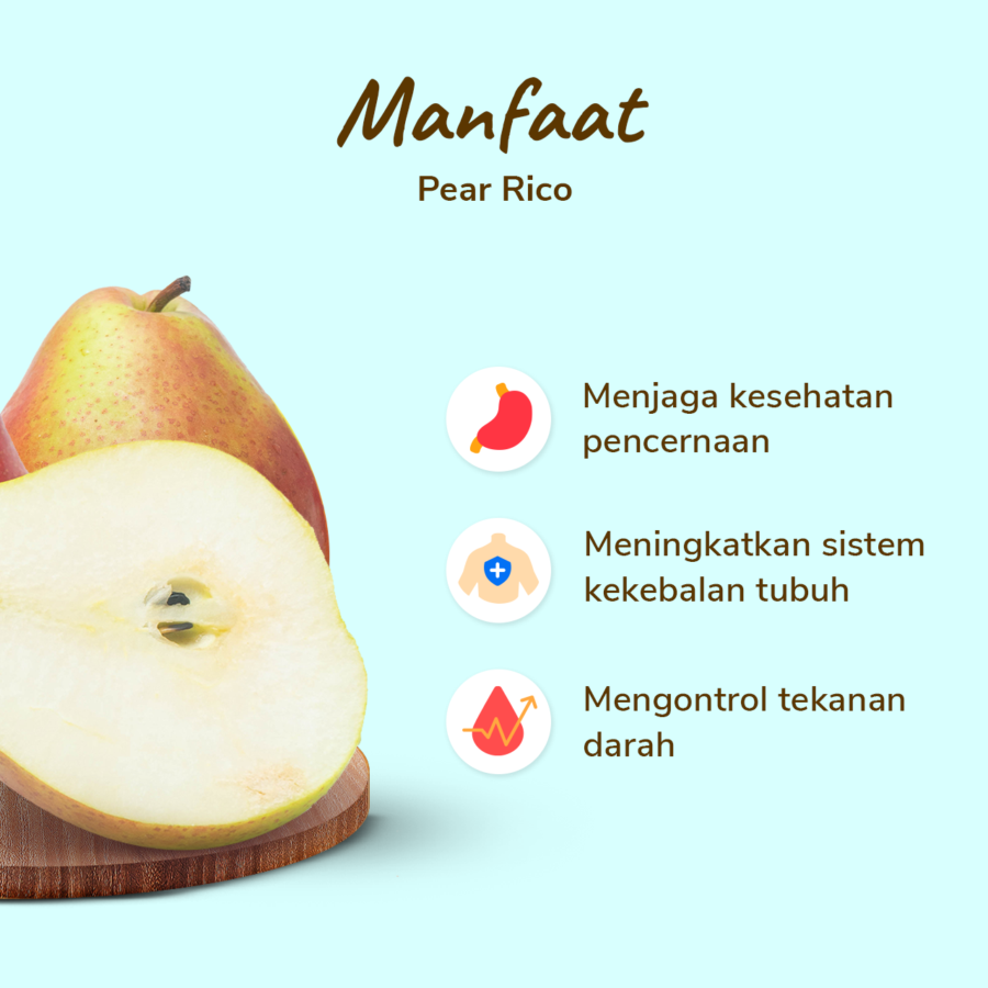 Pear Rico - Astro Farm 430gr - 480gr, 2pcs/pack 1pcs