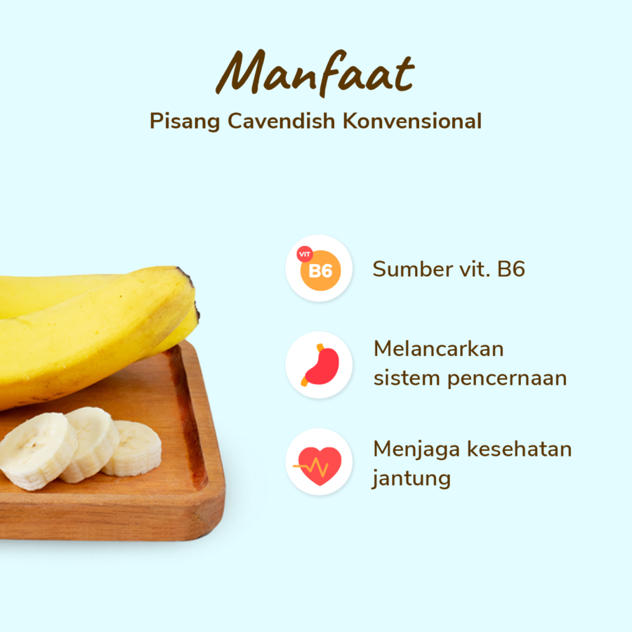 Pisang Cavendish Astro Farm 3-4 pcs 450-550 gram