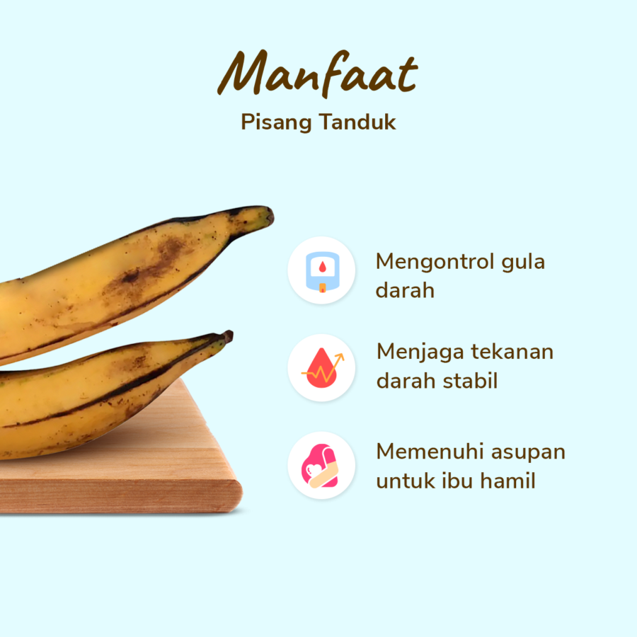 Pisang Tanduk Astro Farm 2 pcs 400-500 gram 2pcs