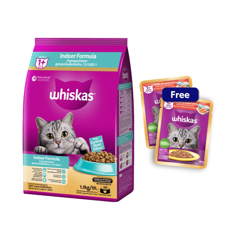 Buy Whiskas Poc Indoor 1.1kg free 2 Whiskas Pouch