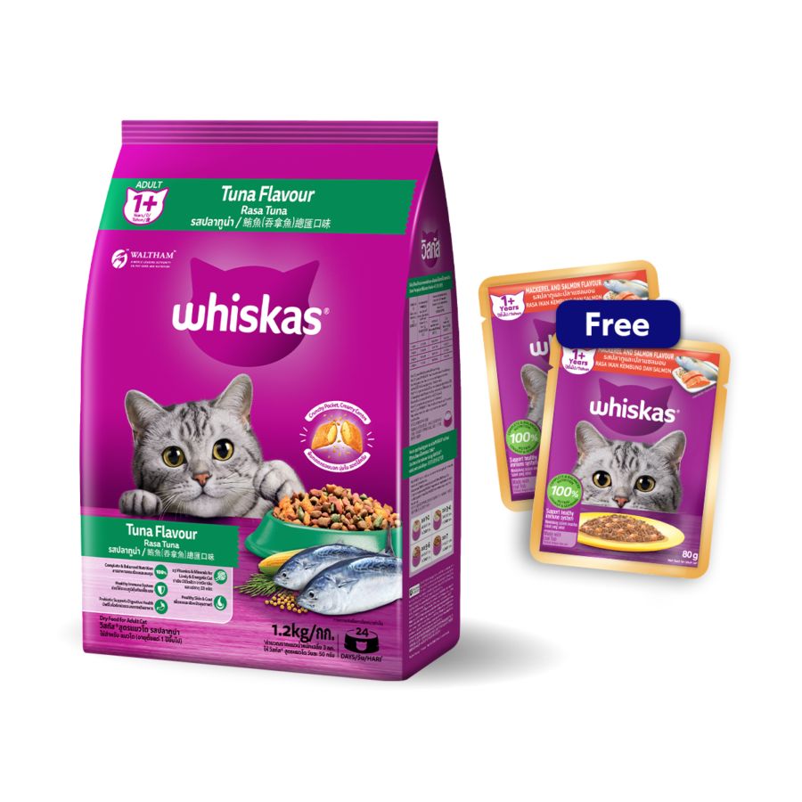 Buy Whiskas Tuna Dry Cat Food 1.2kg Free 2 Whiskas Pouch