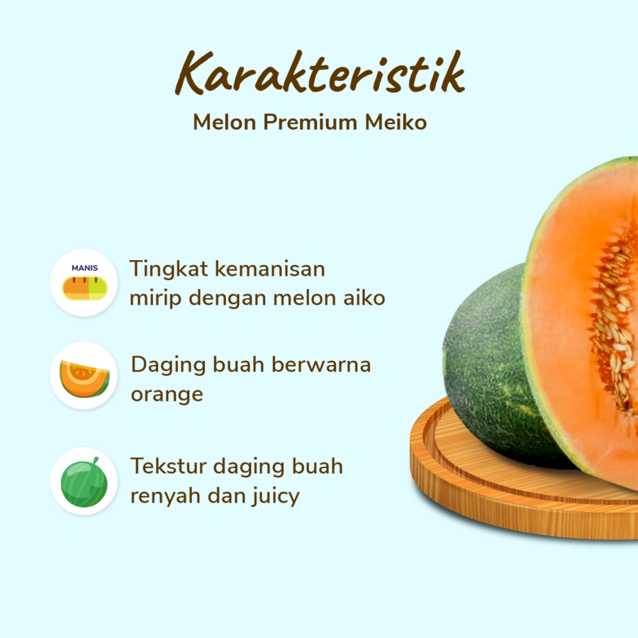 Melon Premium Mieko Size XL - Astro Farm 1.3kg - 1.5kg/pcs