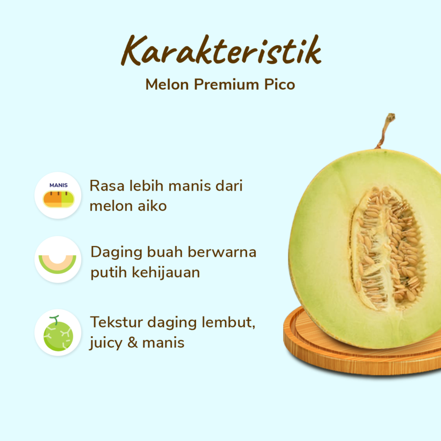 Melon Pico Premium Size XL 1.3-1.6 kg