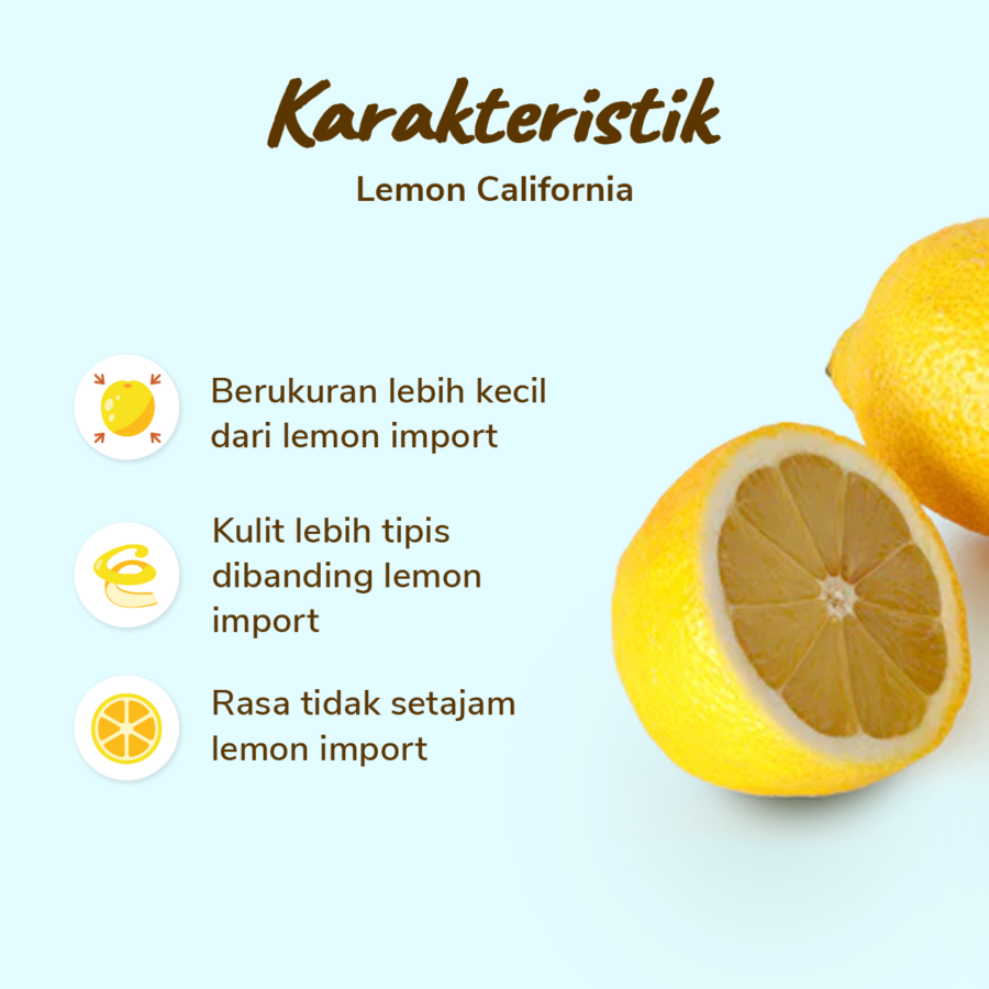 Lemon California Lokal Astro Farm 5-7 pcs 450-500 gram