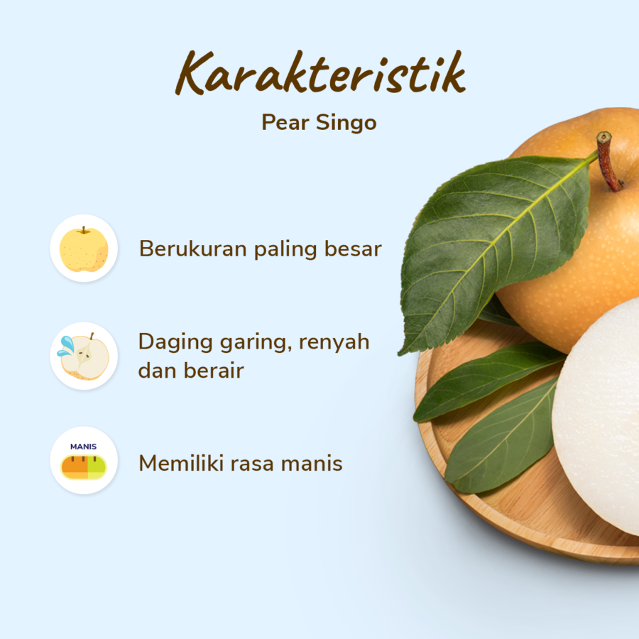 Pear Singo Premium Size L Astro Farm 1 pcs 225-275 gram