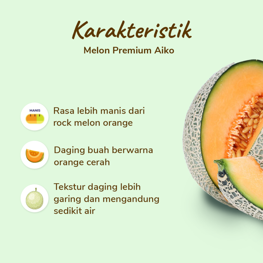 Melon Aiko Premium - Size XL 1.3kg - 1.6kg/pcs