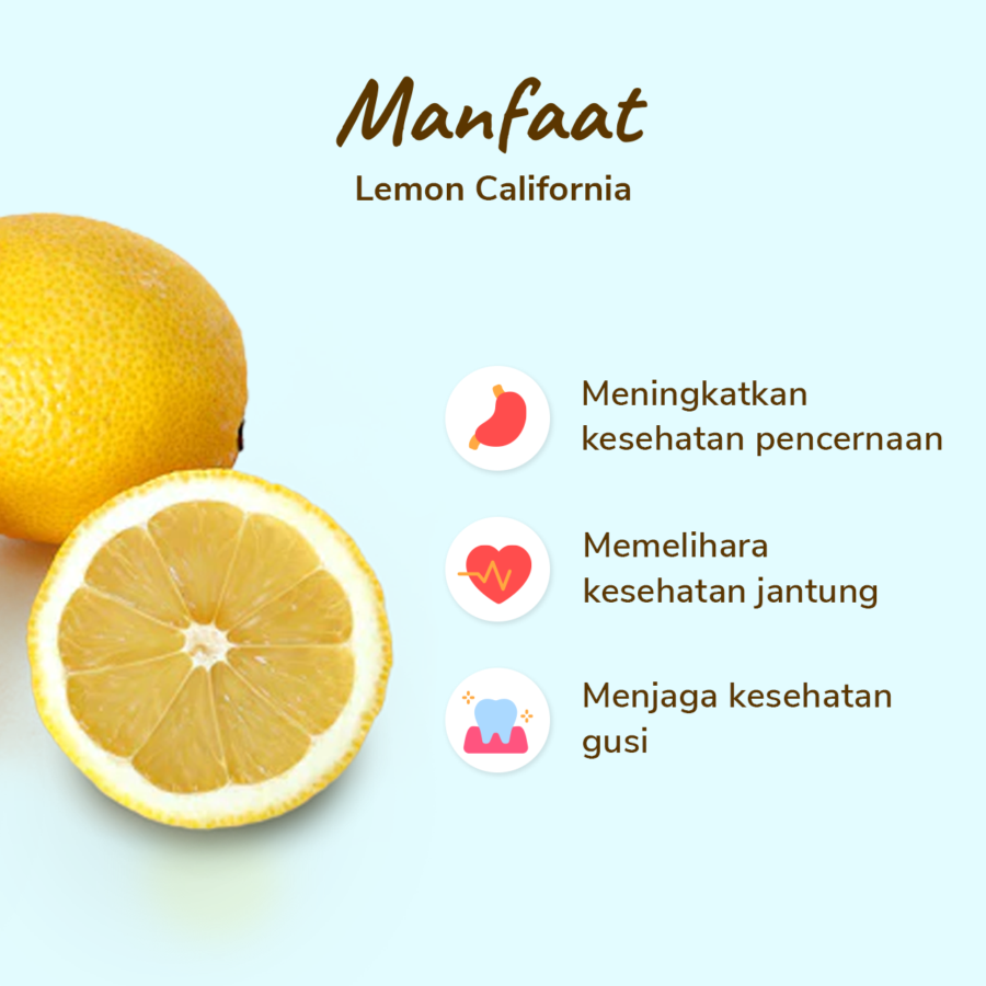 Lemon California Lokal Astro Farm 5-7 pcs 450-500 gram