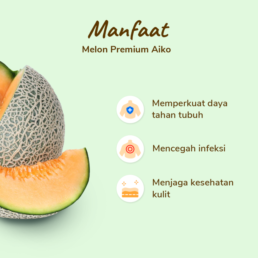 Melon Aiko Premium - Size XL 1.3kg - 1.6kg/pcs