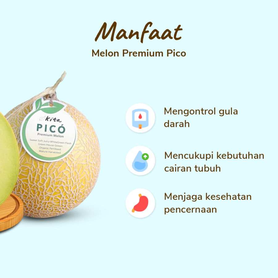 Melon Pico Premium Size XL 1.3-1.6 kg