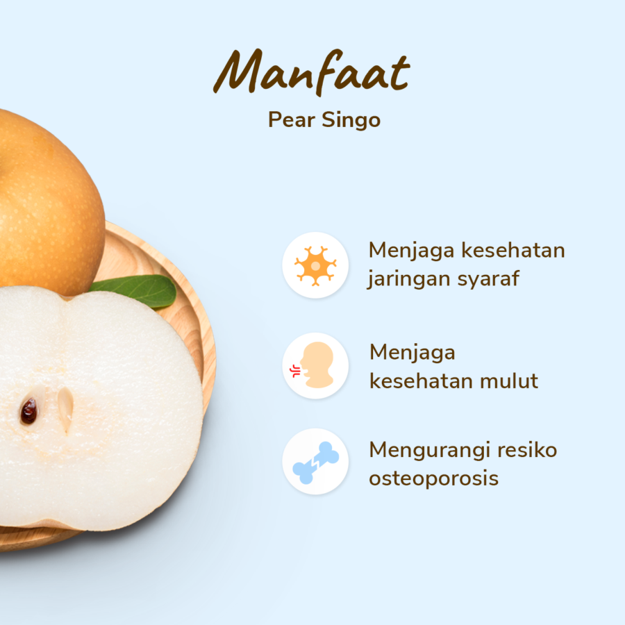 Pear Singo Premium Size L Astro Farm 1 pcs 225-275 gram
