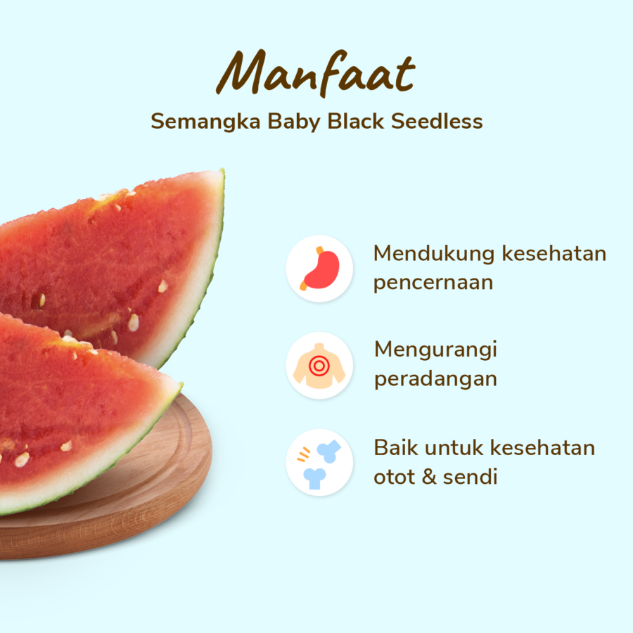 Semangka Baby Black Seedless Astro Farm 1 pcs 1.7 - 2.1 kg