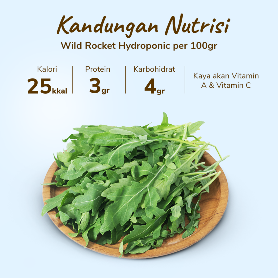 Amazing Farm Wild Rocket Hydroponic 100gram