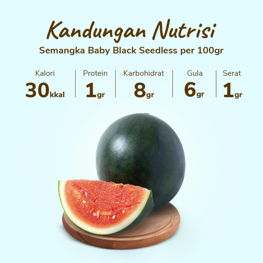 Semangka Baby Black Seedless Astro Farm 1 pcs 1.7 - 2.1 kg