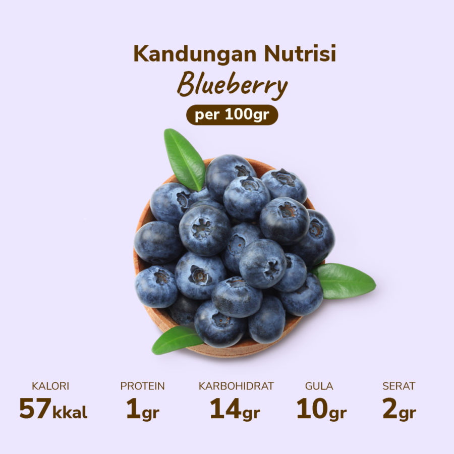 Blueberry Premium Astro Farm 125gram