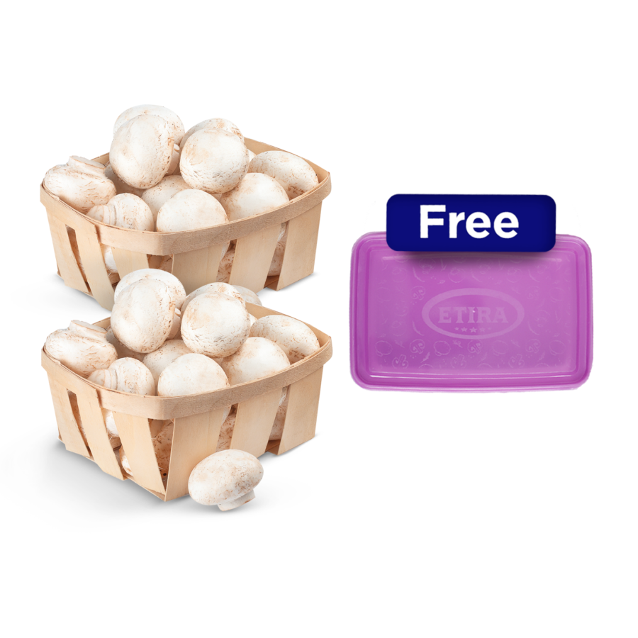 Beli 2 Jamur Champignon 250 gr Free Kotak Makan