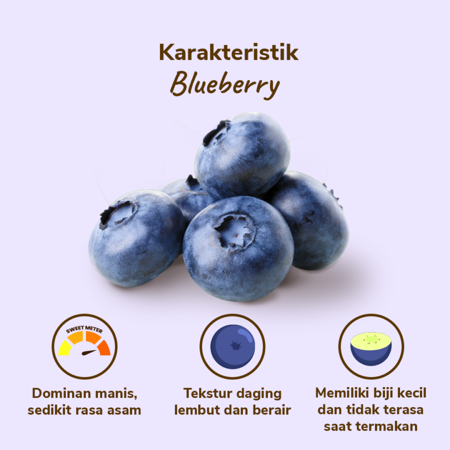 Blueberry Premium Astro Farm 125gram