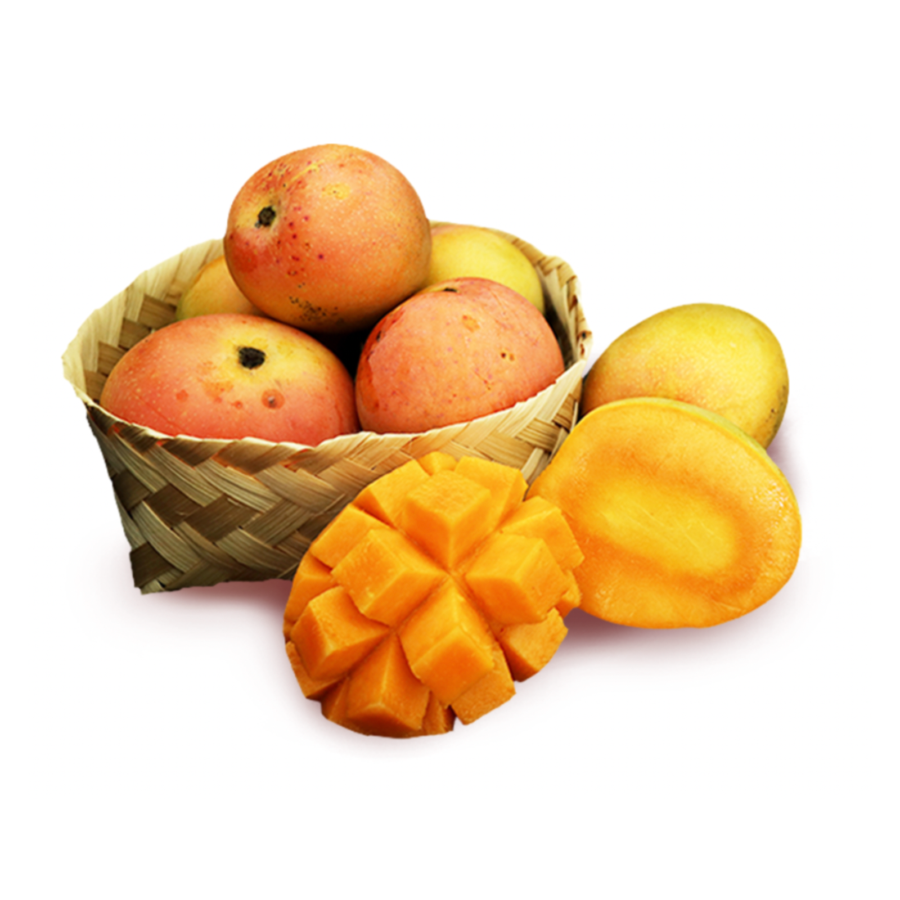 Mangga Gedong Gincu - Astro Farm 1kg - 1.1kg, 4-5pcs/pack