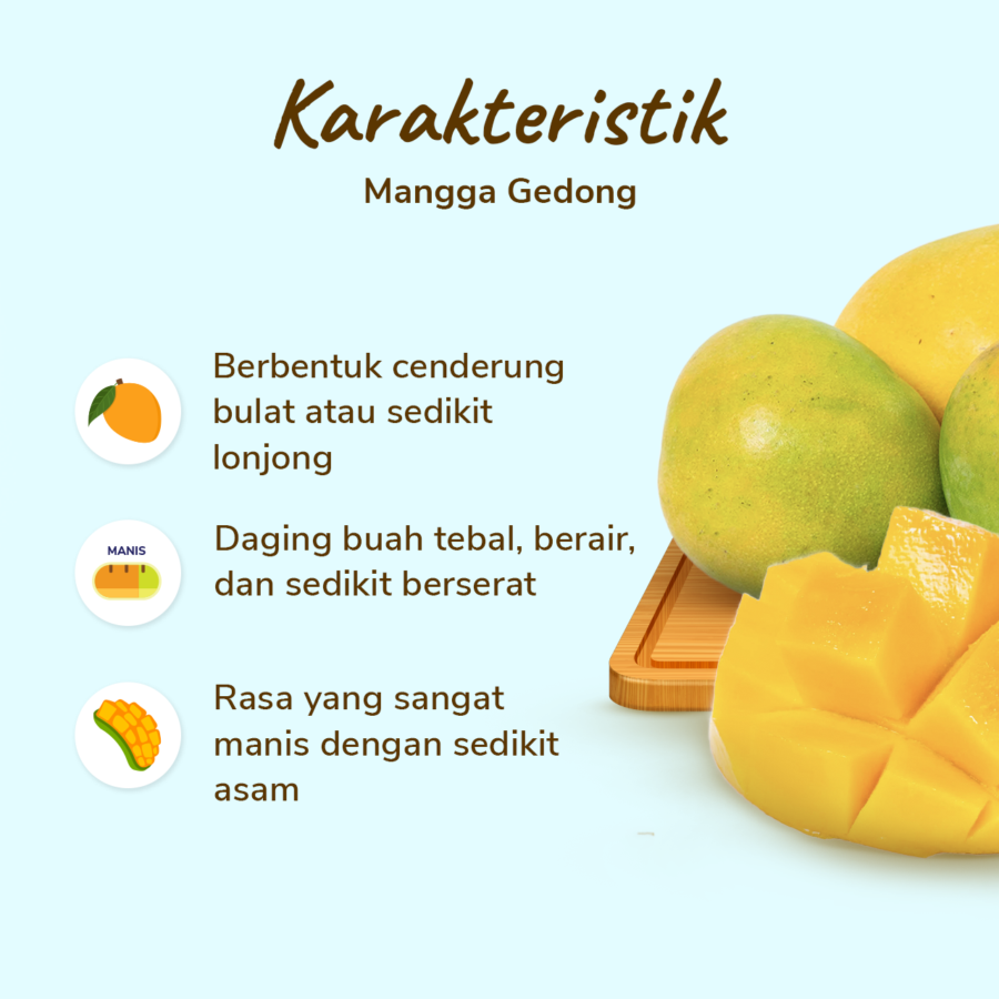 Mangga Gedong Astro Farm 3-4 pcs 900-1000 gram