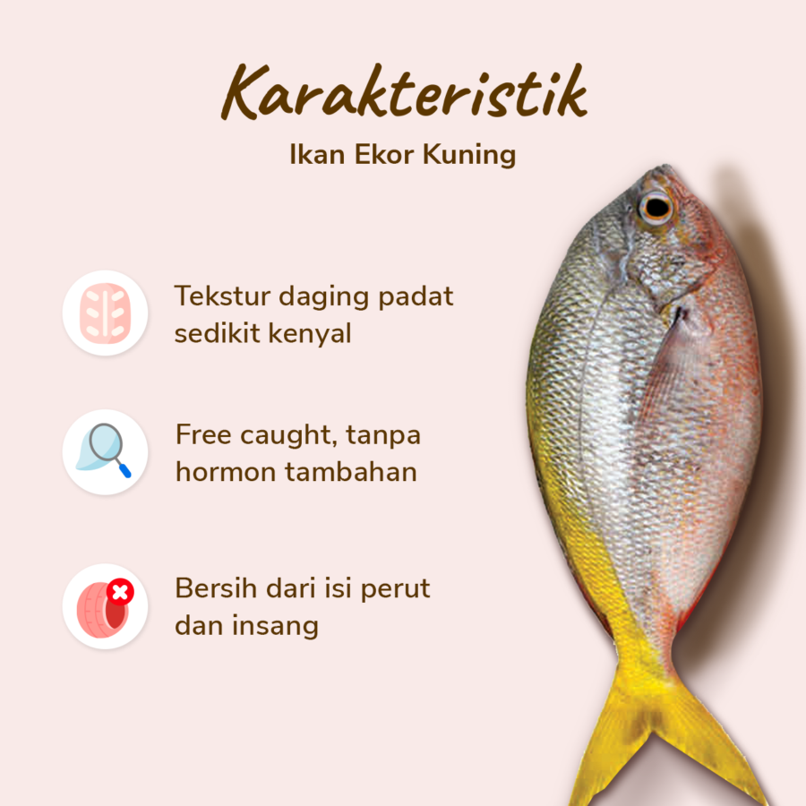 Ikan Ekor Kuning Bersih 250-350gram