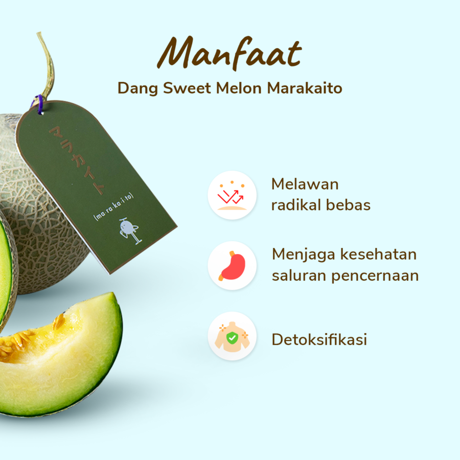 Dang Sweet Melon Marakaito 900-1200 gram