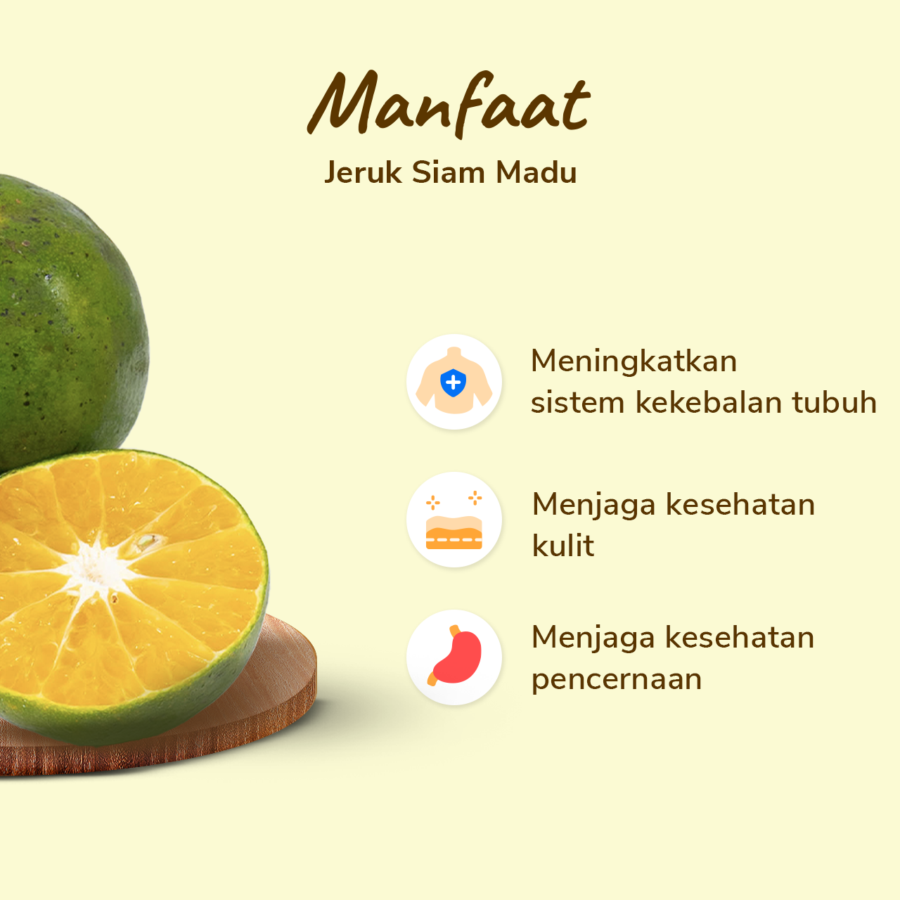 Jeruk Peras Manis Siam Madu Astro Farm pack 8-12 pcs 1000-1100 gram