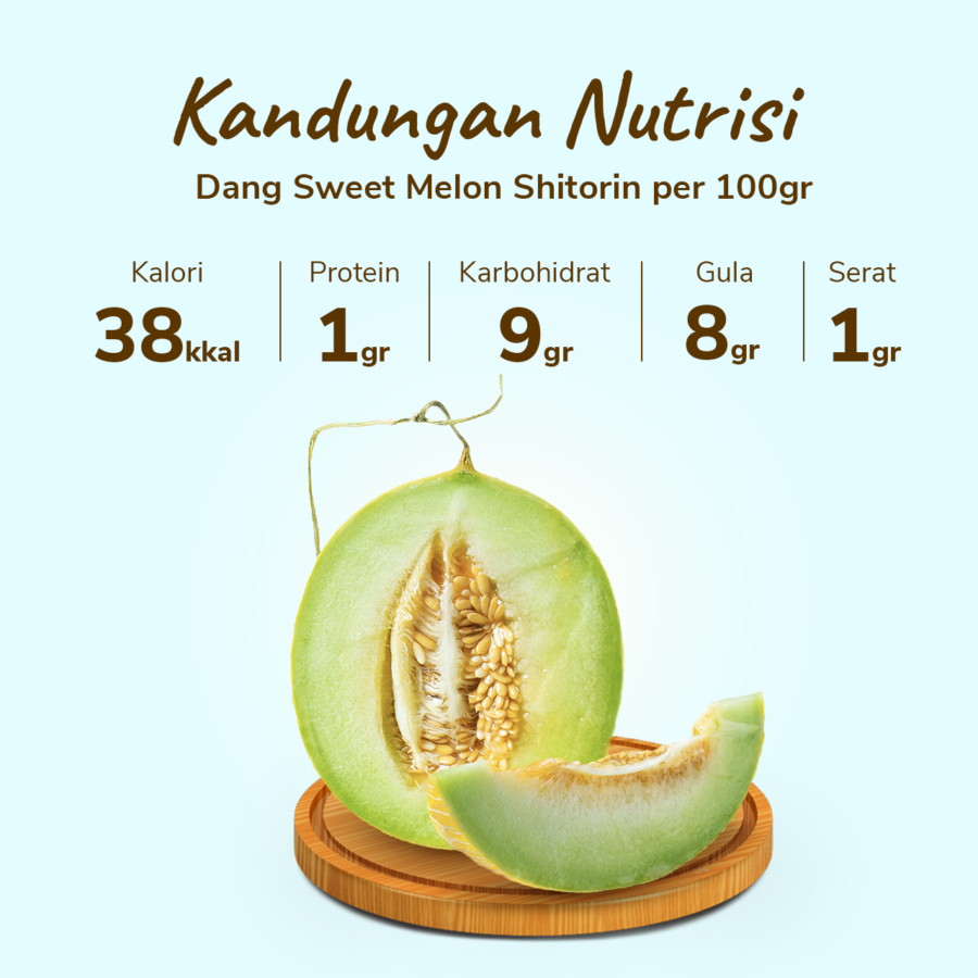 Dang Sweet Melon Shitorin 1 pcs 1.2-1.5kg