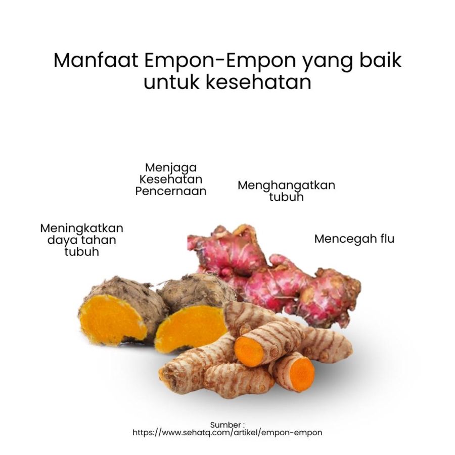Herbilogy Empon Mix (Ekstrak Powder Kunyit, Temulawak, Jahe Merah) 100gram