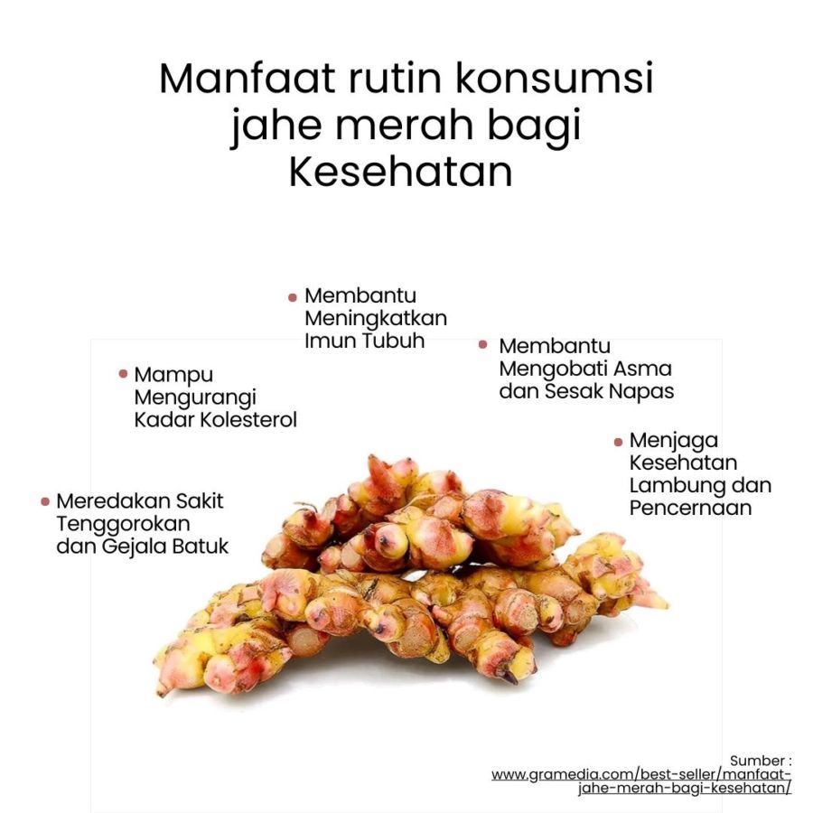 Herbilogy Red Ginger (Jahe Merah) Extract Powder 100gram