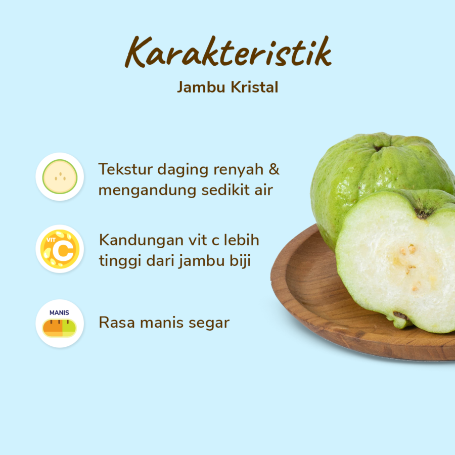 Jambu Kristal Astro Farm 2-3 pcs 500-600 gram