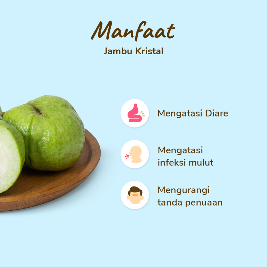Jambu Kristal Astro Farm 2-3 pcs 500-600 gram