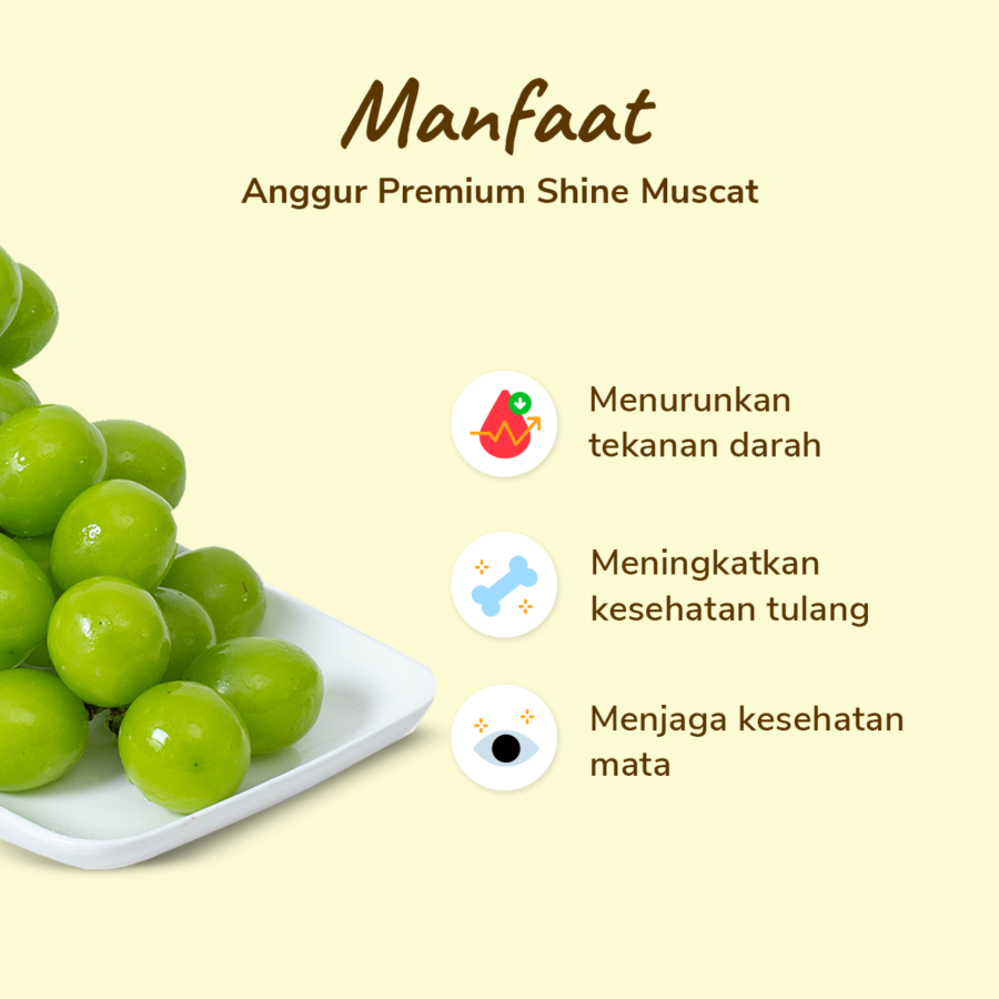 Anggur Hijau Shine Muscat Less Seed Astro Farm 450-500gram