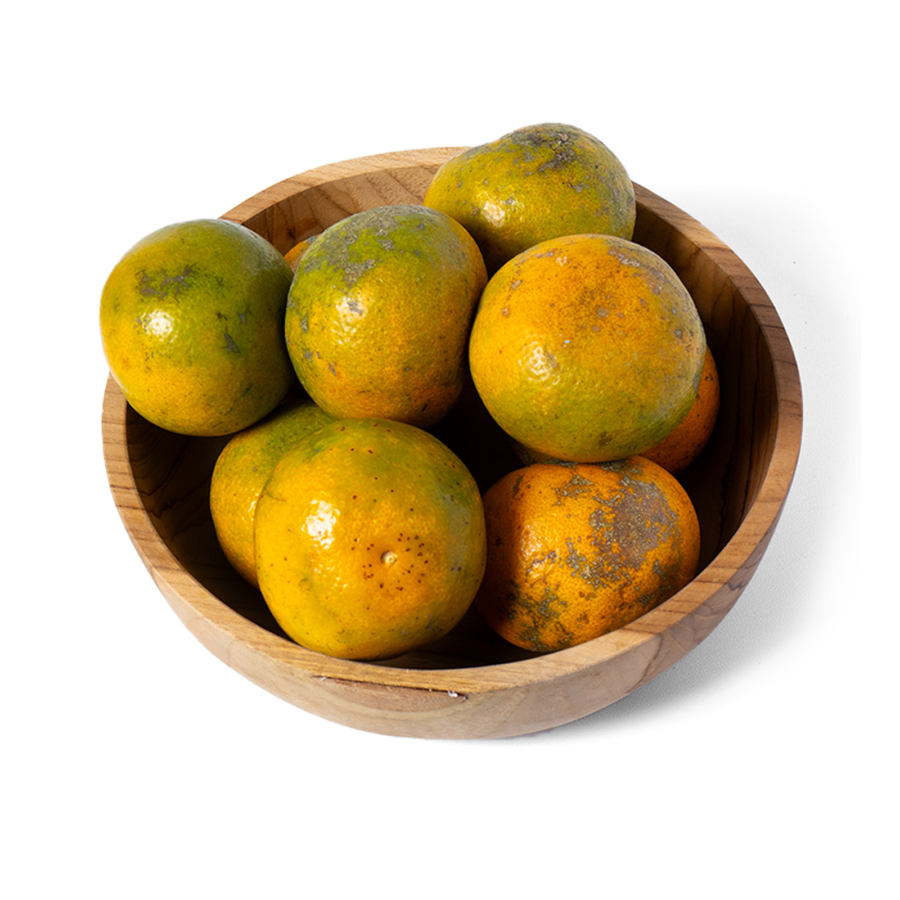 Jeruk Medan Ekonomis Astro Farm 4-5 pcs 450-500 gram 1pcs