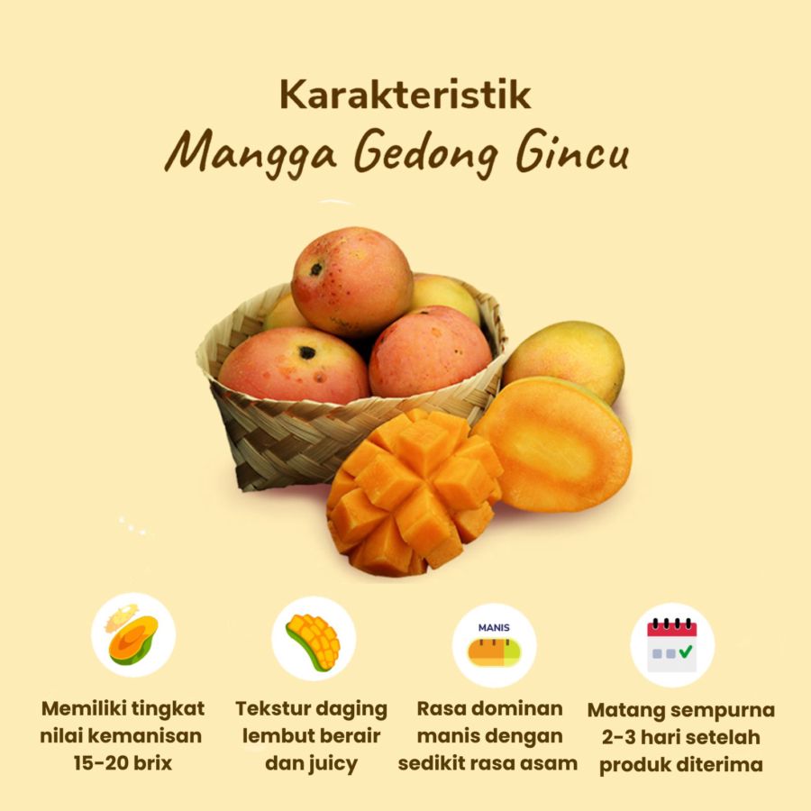 Mangga Gedong Gincu Astro Farm 4-5 pcs 1- 1.1kg