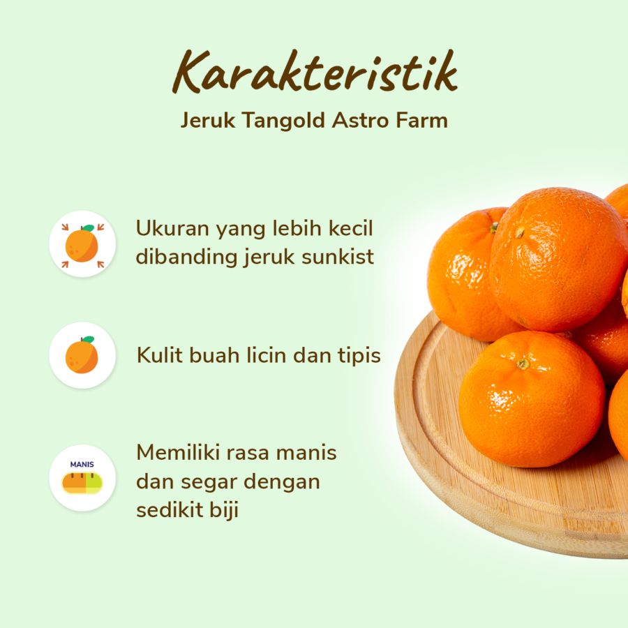 Jeruk Tangold Astro Farm 5-6 pcs 500-600 gram