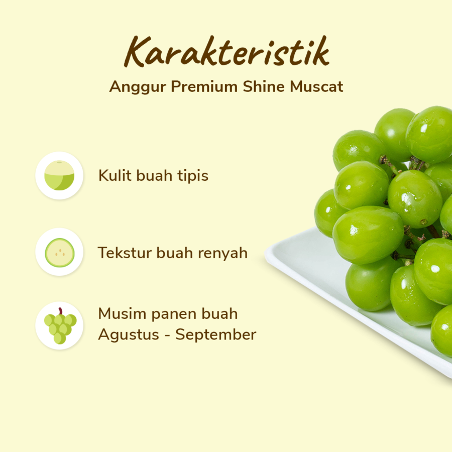 Anggur Hijau Shine Muscat Less Seed Astro Farm 100-150gram