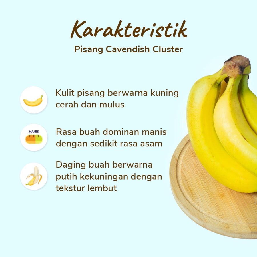 Pisang Cavendish Cluster 5-9 pcs 900-1200 gram