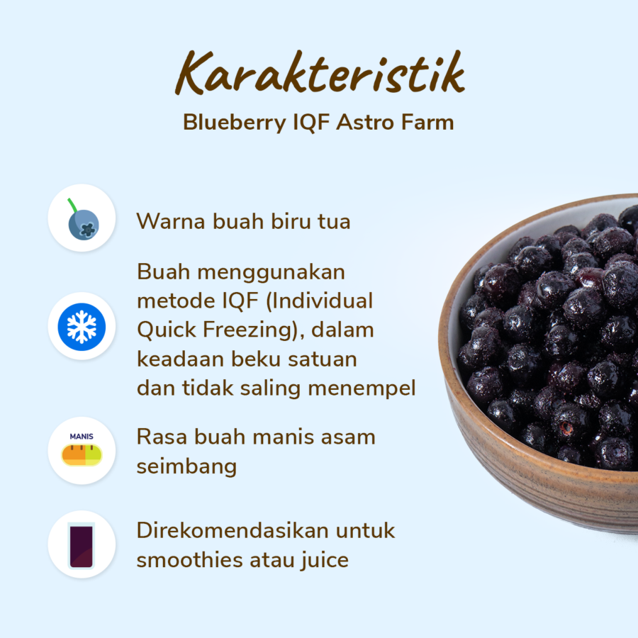 Blueberry Frozen IQF 500gram
