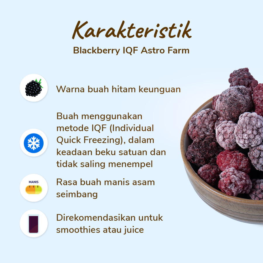 Blackberry Frozen IQF 500gram