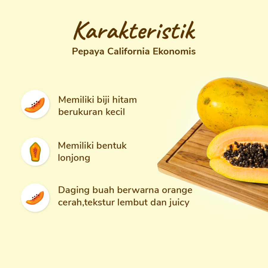 Pepaya California Ekonomis Astro Farm 1 pcs 1-1.4 kg 1pcs