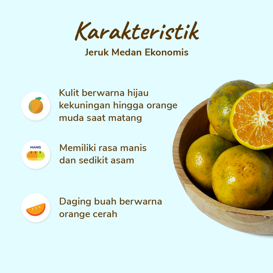 Jeruk Medan Ekonomis Astro Farm 4-5 pcs 450-500 gram 1pcs