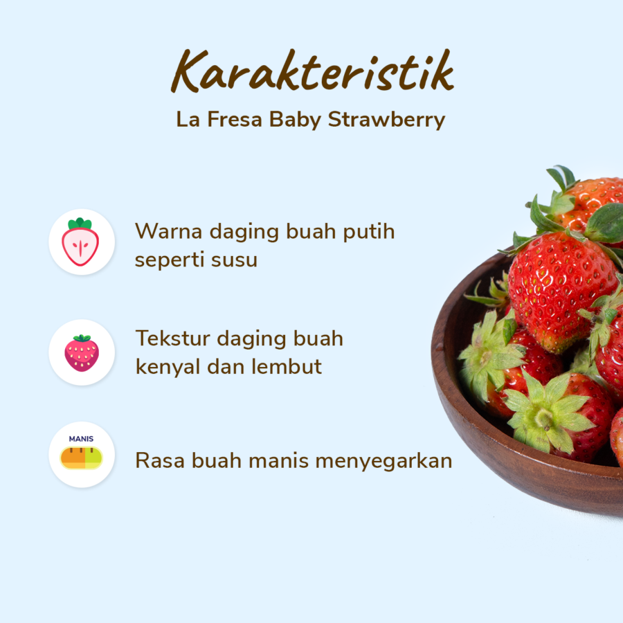 Lafresa Strawberry Baby 1pack