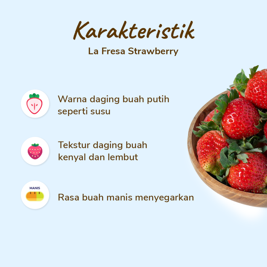 Lafresa Strawberry Grade A 1pack