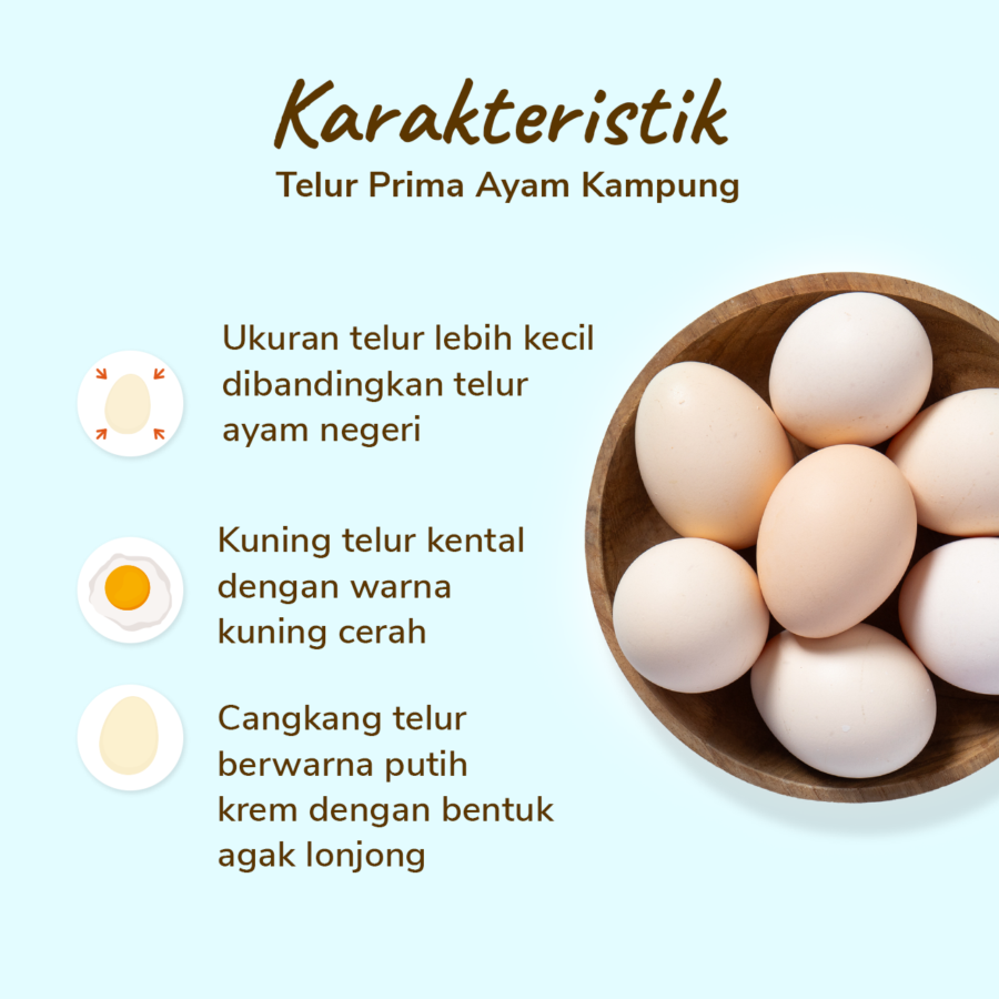 Telur Prima Ayam Kampung 7butir