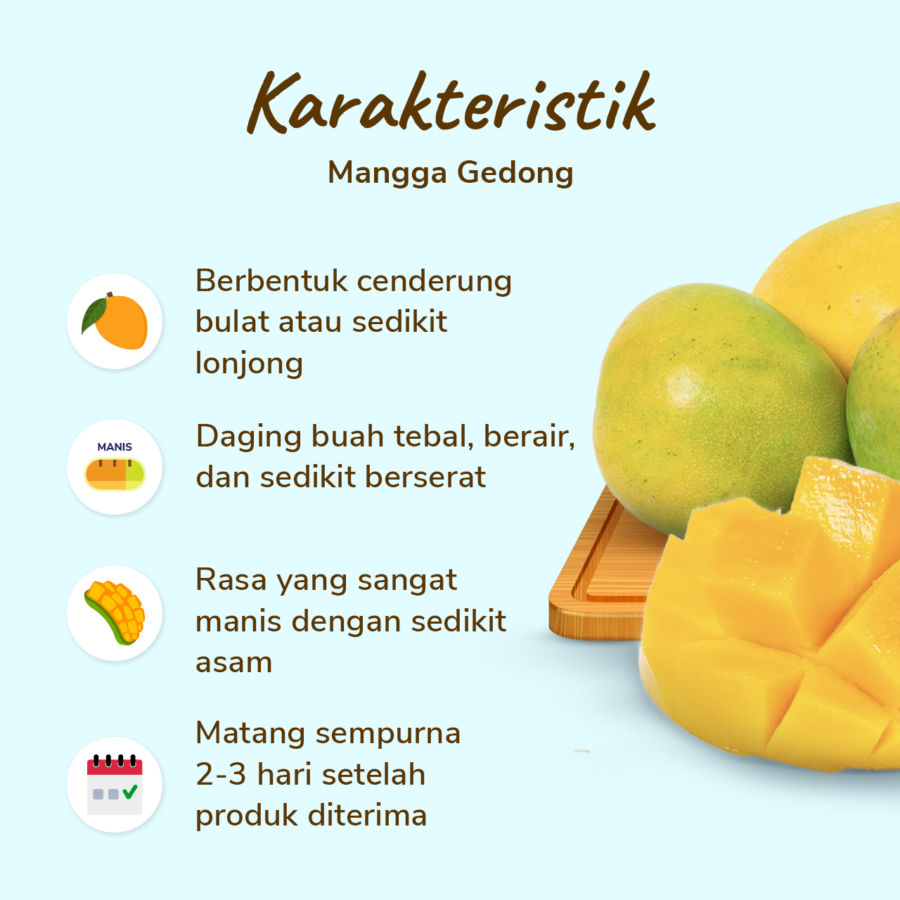 Mangga Gedong Astro Farm 3-4 pcs 900-1000 gram 1pcs