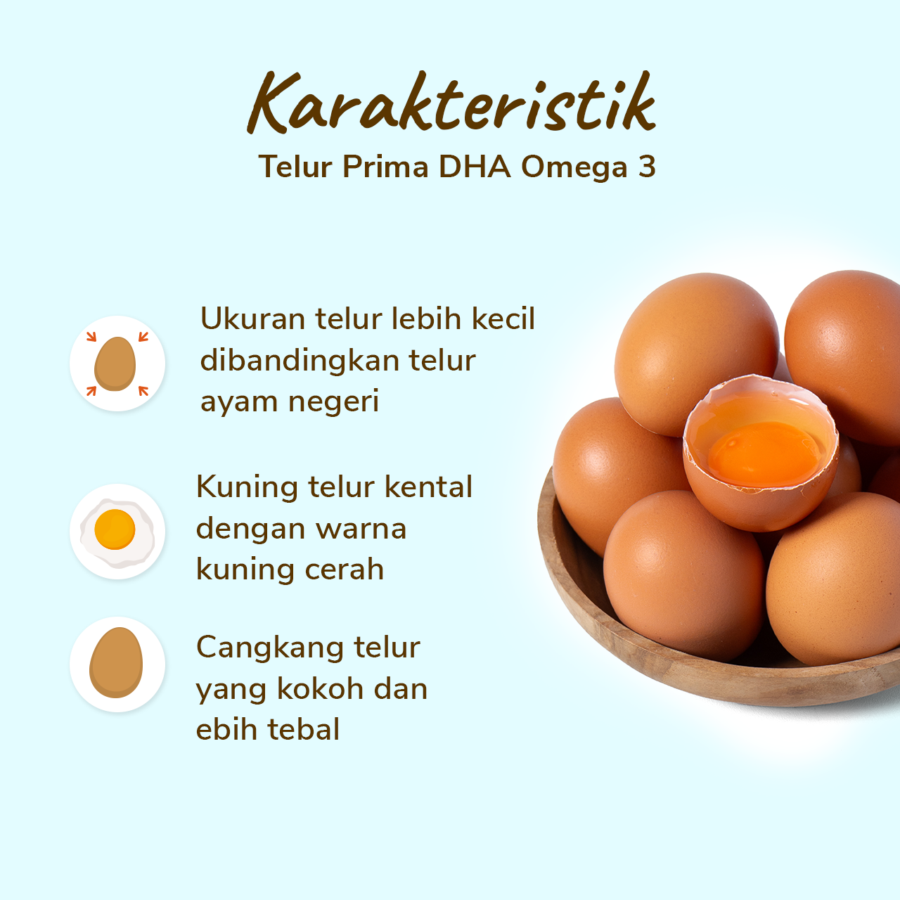 Telur Prima DHA Omega 3 10butir