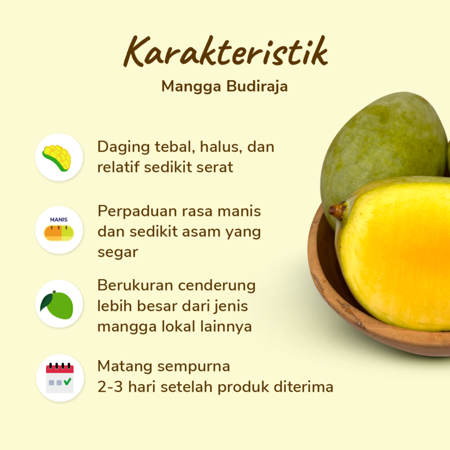 Mangga Budiraja Astro Farm 1kg