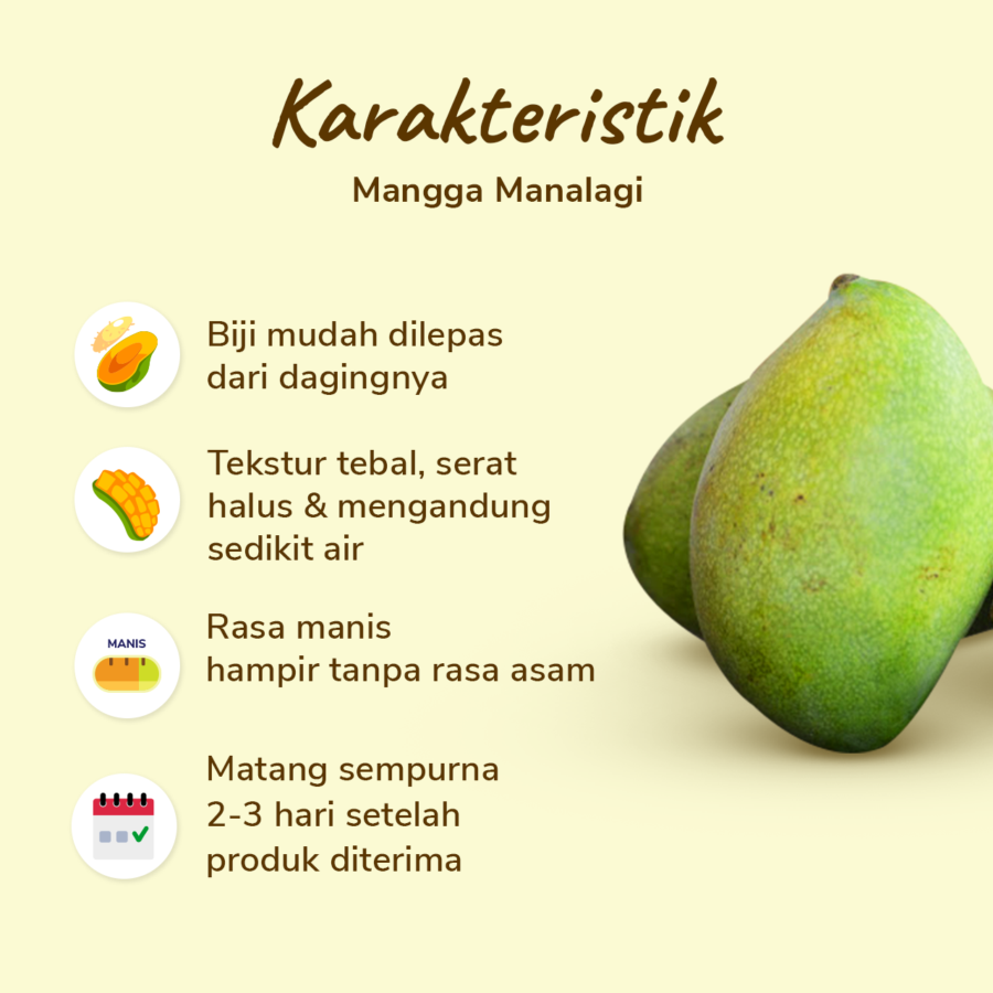 Mangga Manalagi Astro Farm 2-3 pcs 400-500 gram